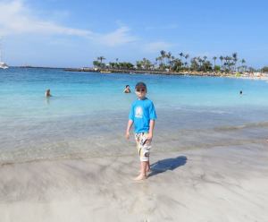 1003468_10151799231987848_1109747400_n