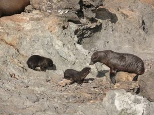 10697265_10153154900189523_609347076416980833_o