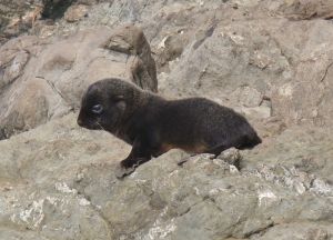 10860836_10153154900339523_5170282502089768796_o