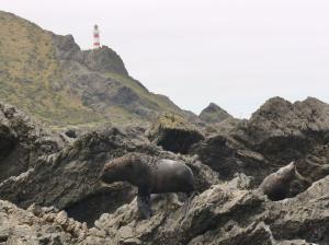 10872793_10153151965599523_8515330582273612406_o