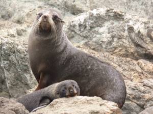 10918926_10153237976759523_7175560090692938883_o