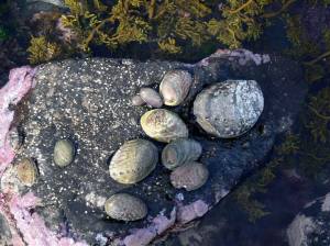 1278164_10152479872784523_1416363059_o