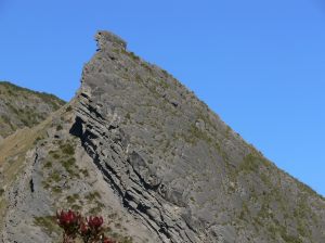 1417683_10151931511974523_342752614_o