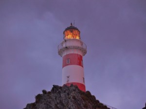 1836805_10152998494754523_2877850487392932048_o