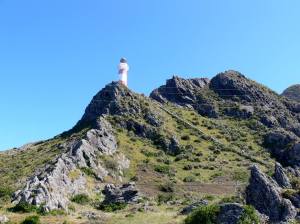 1921060_10153050207179523_7857017334914539896_o