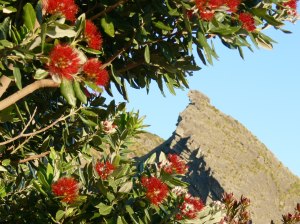 332096_10151282930419523_626501554_o