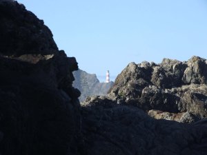 34979_444428857847_2742738_n