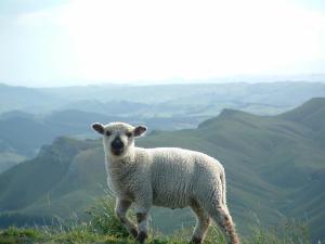 526694_10150926111902848_2069175167_n1