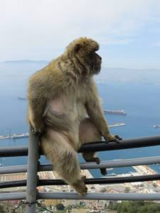 18483_10153265296672848_1829517443699764913_n