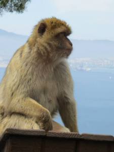 10653538_10153265270082848_7781196666975786450_n